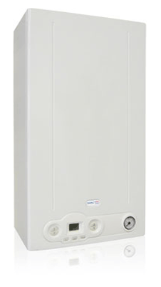 Газовые котлы DELFIS CTFS 24 в Житомире