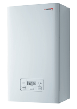 Настенные газовые котлы Protherm «Пантера» в Житомире