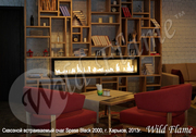 Сквозной встраиваемый очаг Wild Flame 