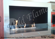 Встраиваемый очаг Родос Steel 800 Wild Flame