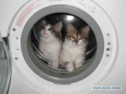Ремонт (стиральных машин )автомат